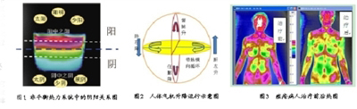 用热秩序解读人体