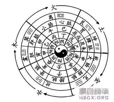 中华文明没有科学基因？古人早已看穿科学『第一原理』