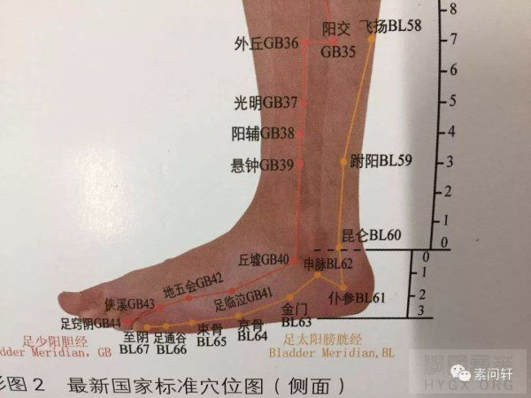 中医入门.脚踝穴位