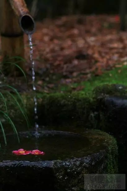 『稻子的背負是芒種，麥穗的承擔是芒種，高粱的波浪是芒種，天人菊在野風中的盛放是芒種。』 ...