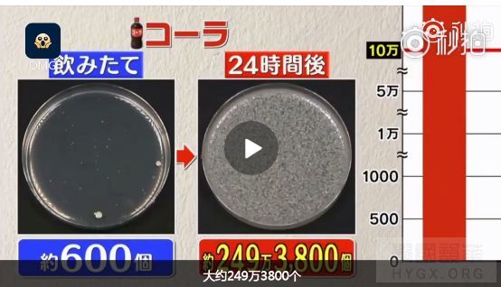 在這個季節的平均氣溫20℃，平均濕度79%的房間裡，24小時細菌增加數量的檢測結果 ... ...