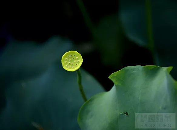 『梦江南』又称『忆江南』